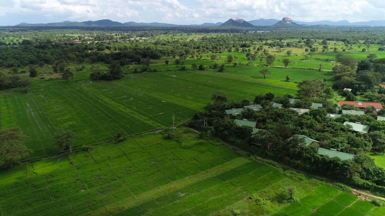 Camellia Resort And Spa Sigiriya Exterior foto