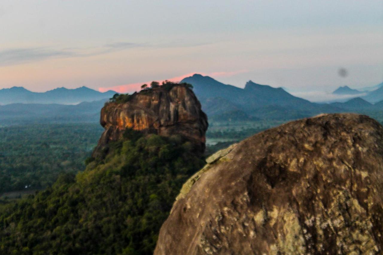 Camellia Resort And Spa Sigiriya Exterior foto