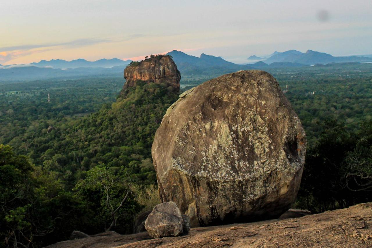 Camellia Resort And Spa Sigiriya Exterior foto